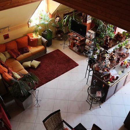 שיופוק Arany Sziget Apartman מראה חיצוני תמונה