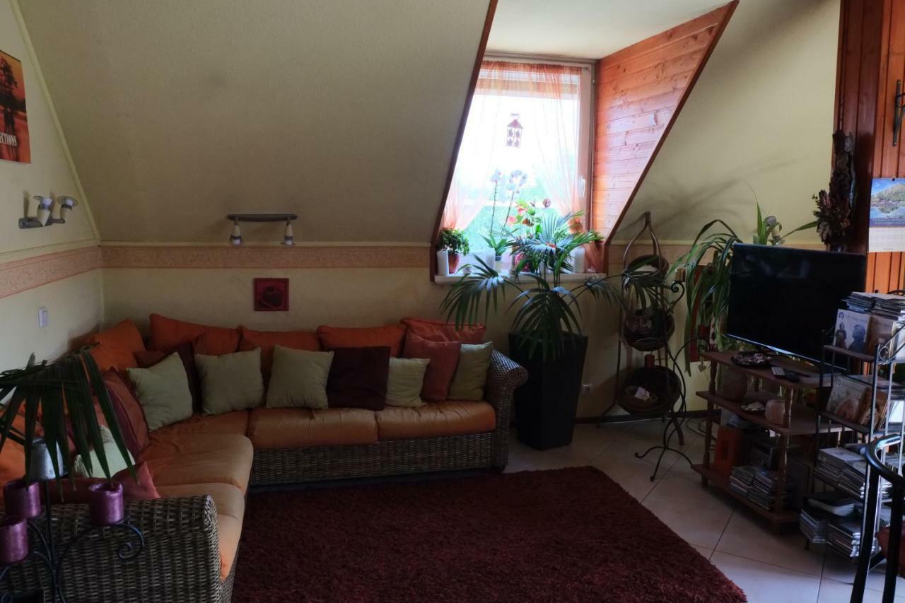 שיופוק Arany Sziget Apartman מראה חיצוני תמונה