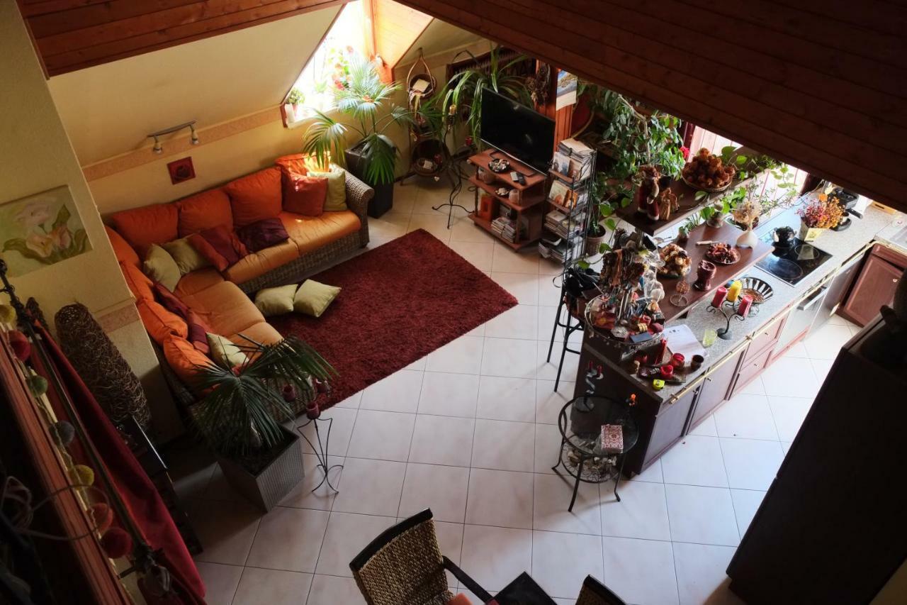 שיופוק Arany Sziget Apartman מראה חיצוני תמונה